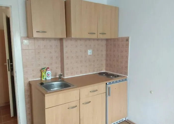 Apartment V Centru